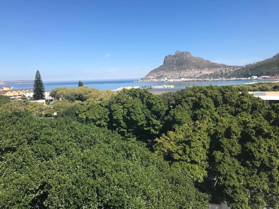 Appartement Chapman'S Peak, Loft Mit Sea-Und Mountainview à Hout Bay Extérieur photo